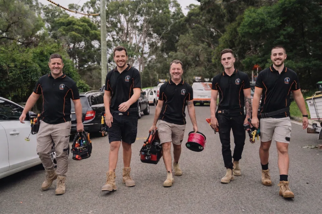 Professional electrical services in Clontarf